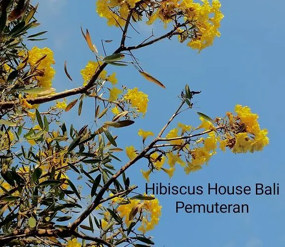 Hibiscus House Bali Gasthuis Pemuteran